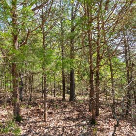 Autumnwood Tract 7 in Fulton County, AR