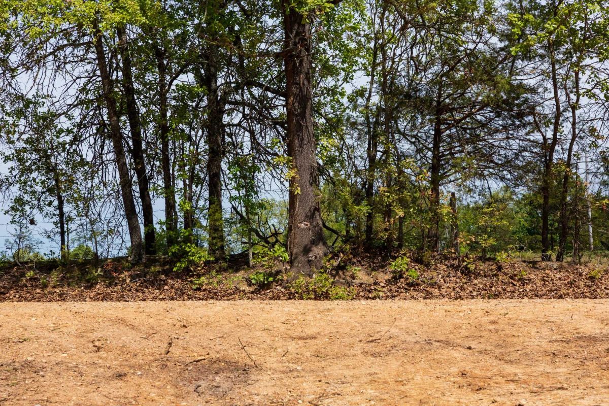 Decorative background for Autumnwood Tract 7 image 6