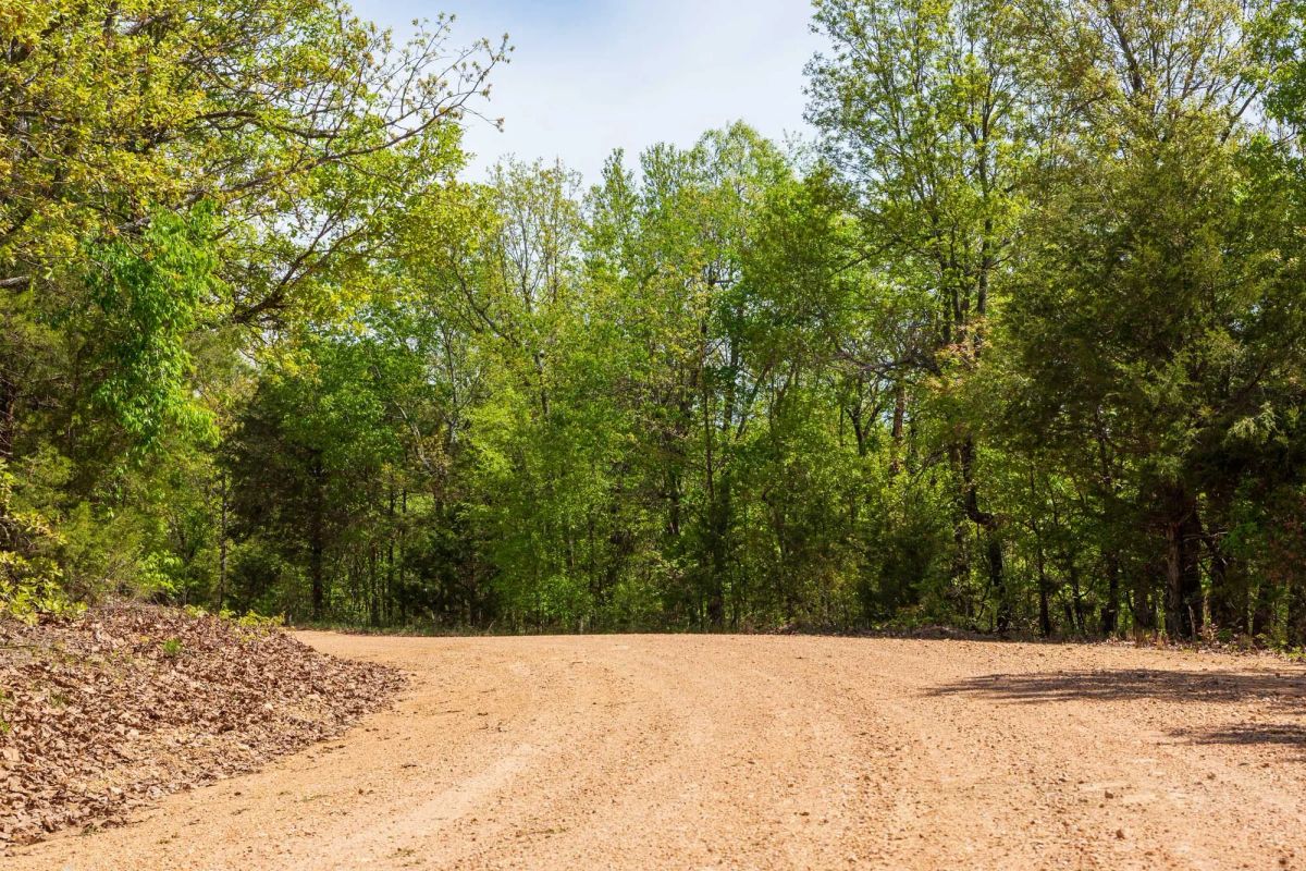 Decorative background for Autumnwood Tract 7 image 11