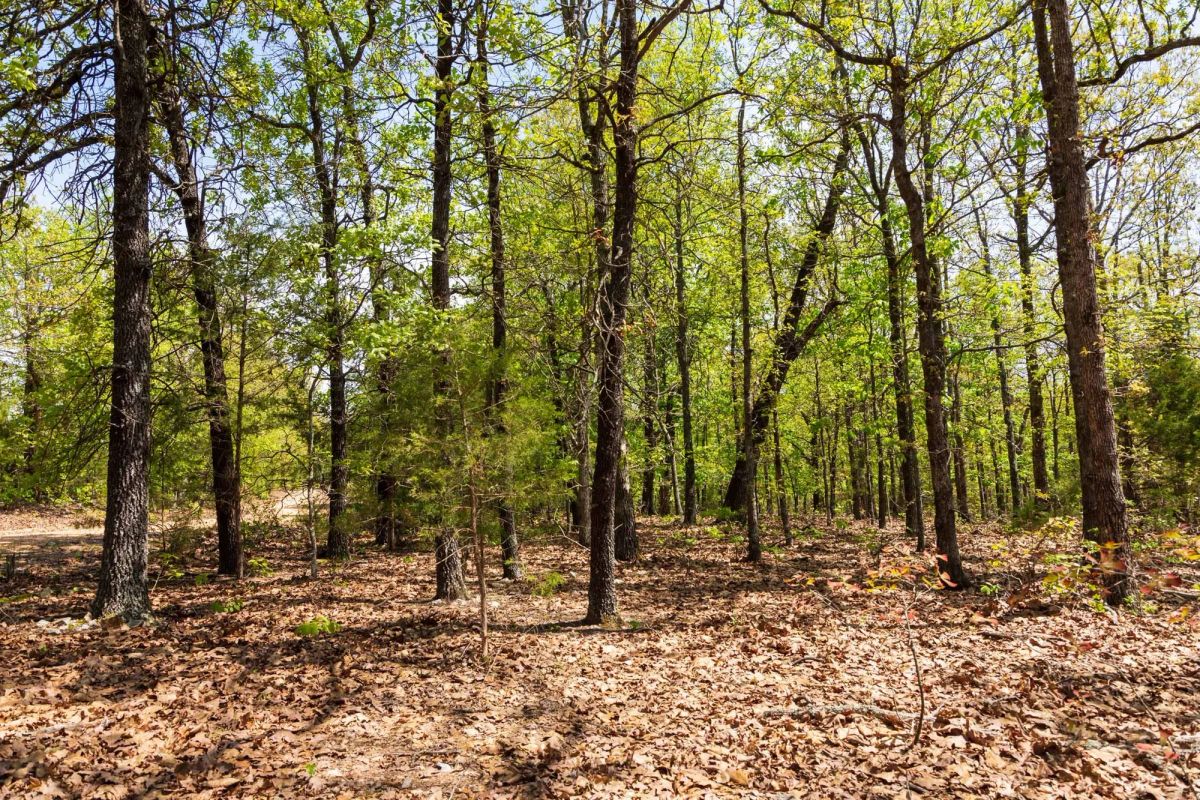 Decorative background for Autumnwood Tract 7 image 12