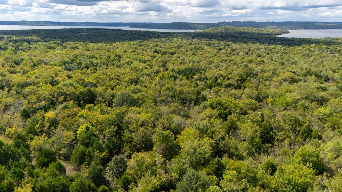 Reserves At Cattail Cove Phase II Tract 46 - Main image