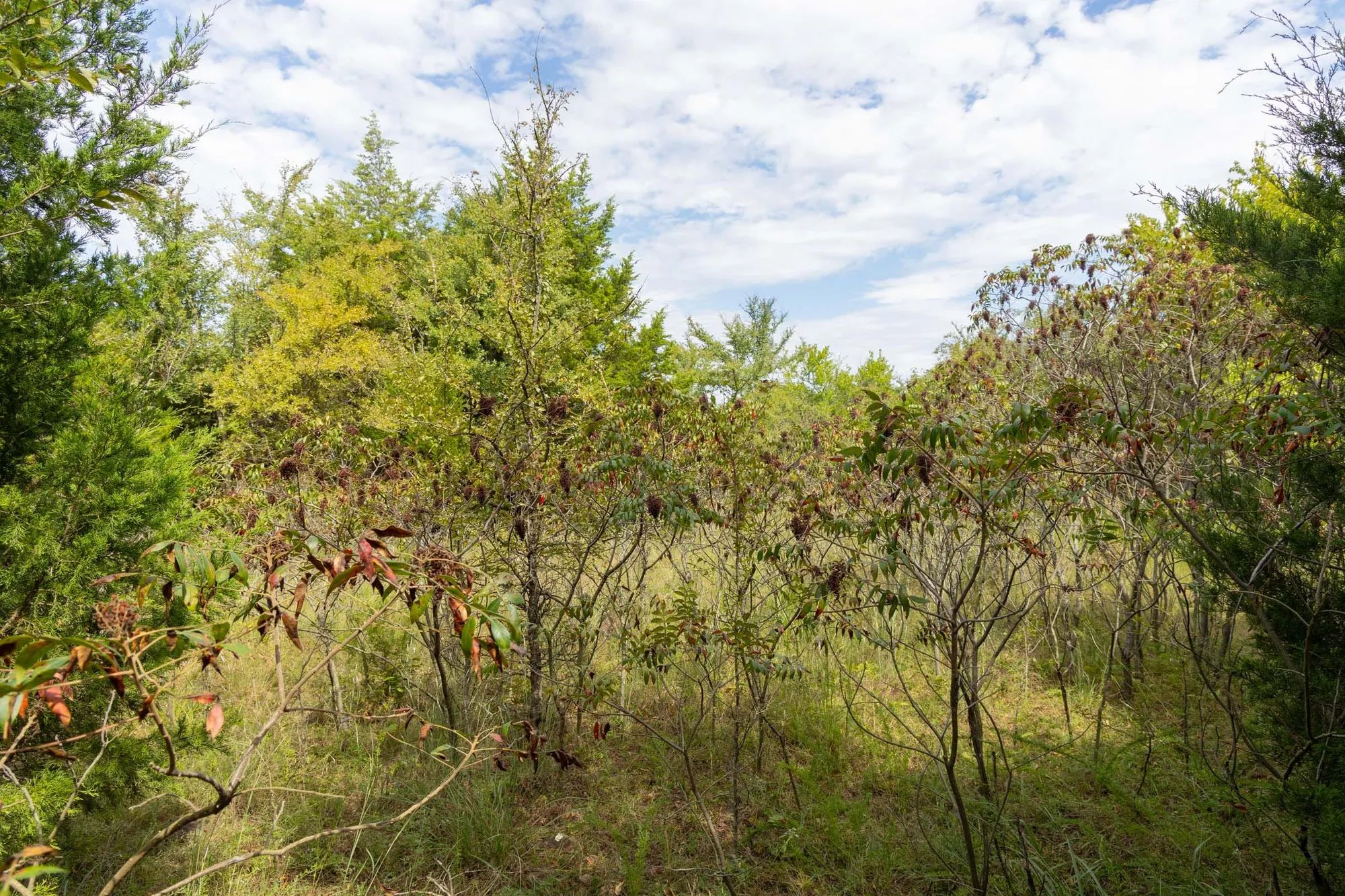 Reserves At Cattail Cove Phase II Tract 46 in Pittsburg County, OK