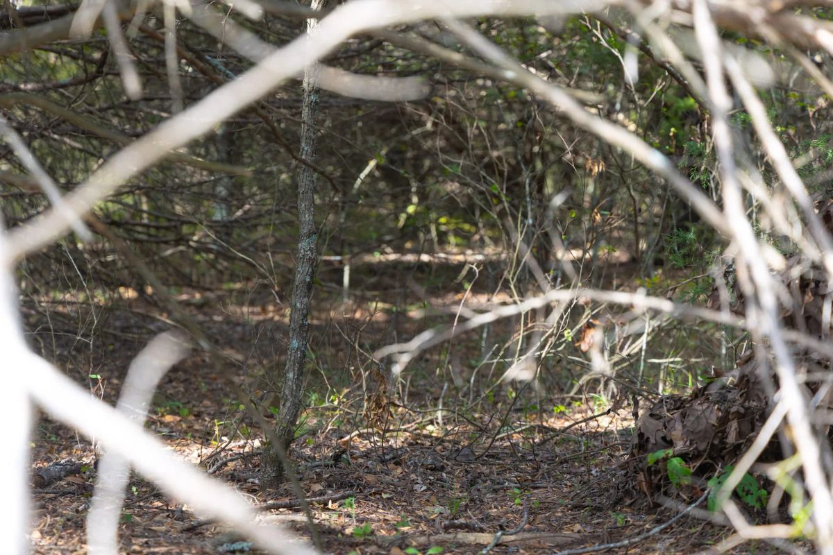 Reserves At Cattail Cove Phase II Tract 46 - Image 4