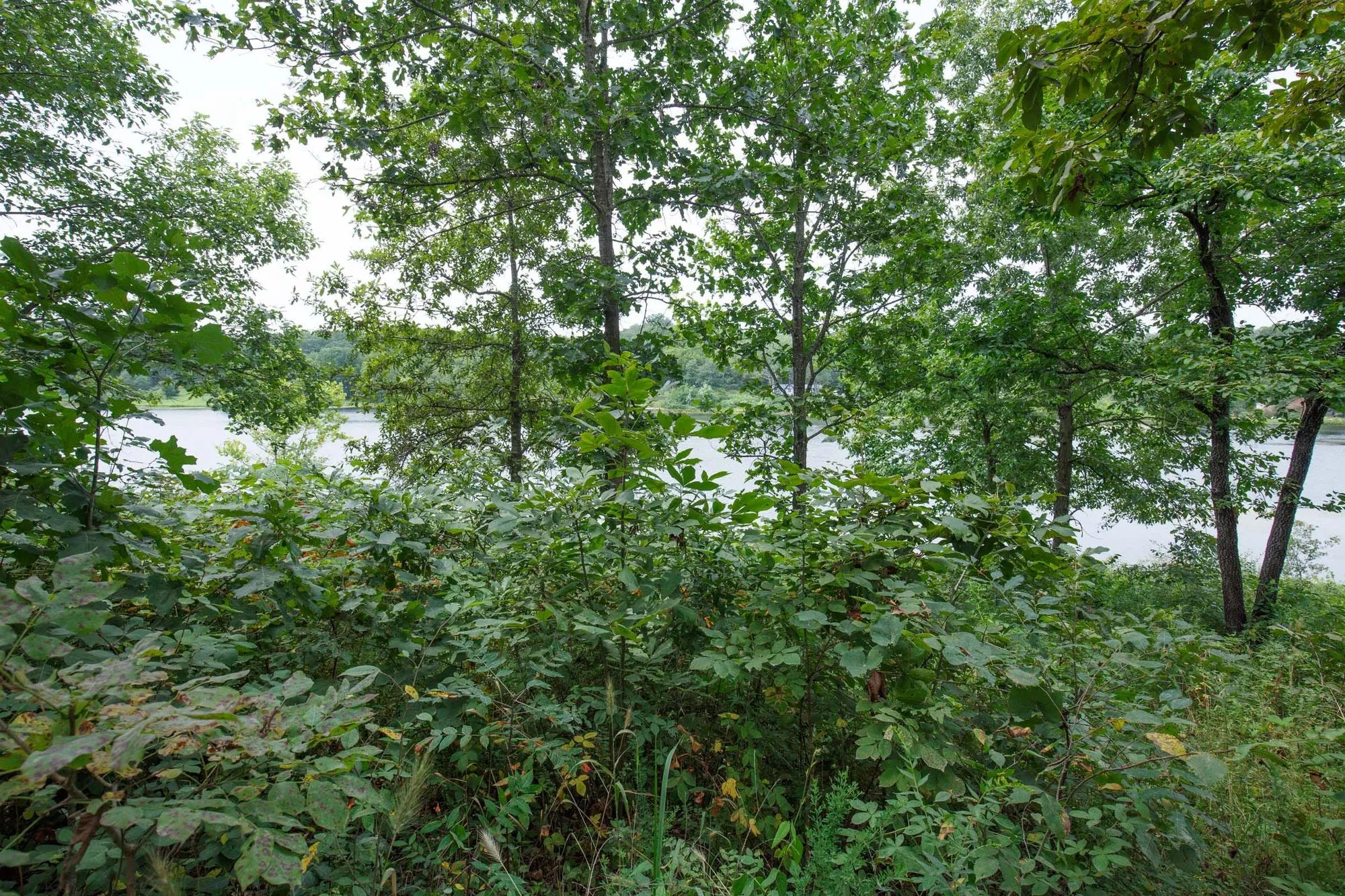 Spring Lake Plat 5 Tract 24 in Miller County, MO