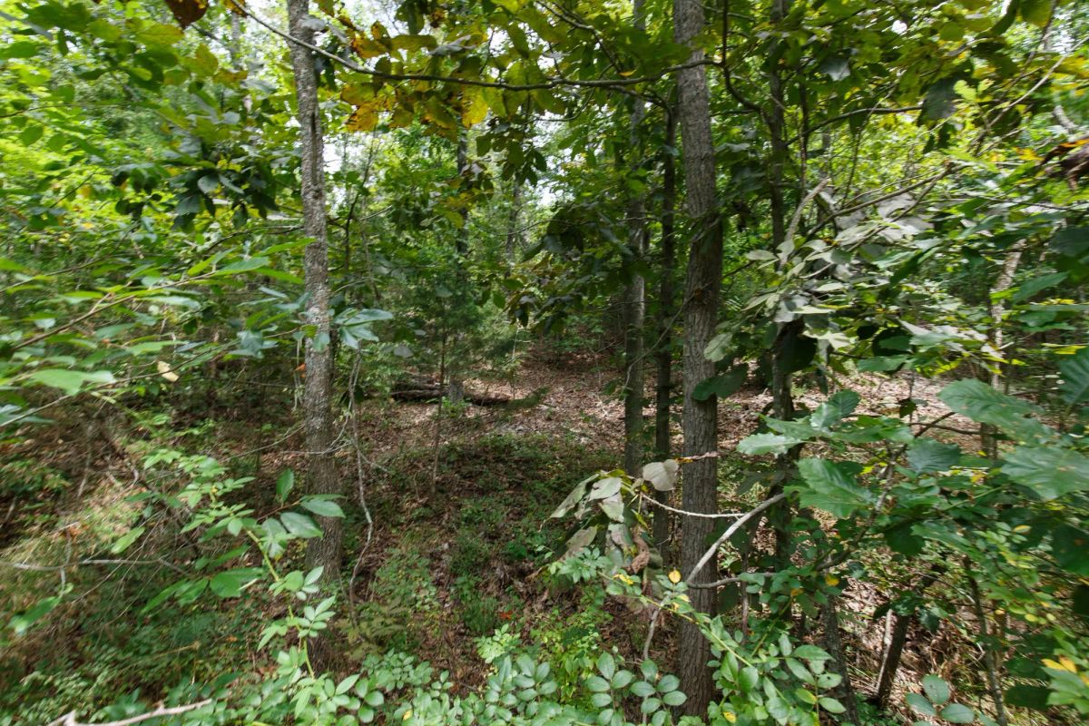 Spring Lake Plat 5 Tract 325 - Main image