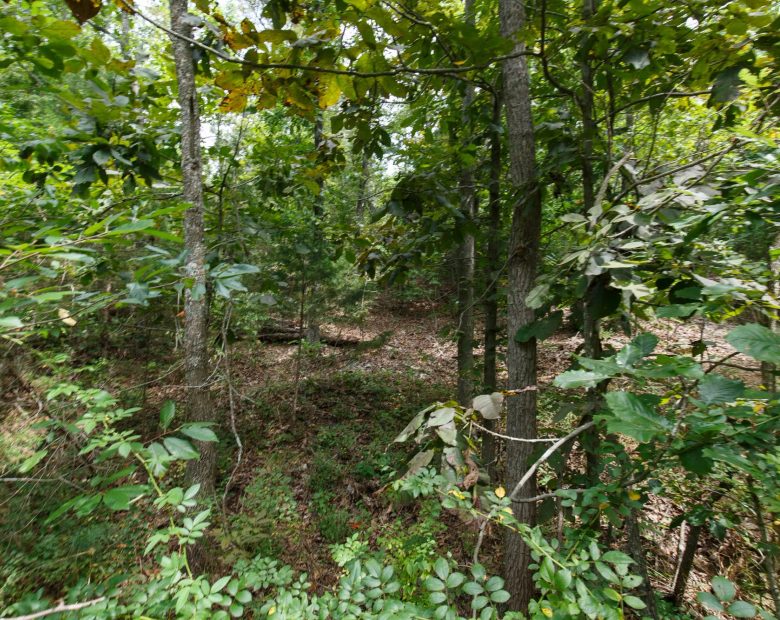 Spring Lake Plat 5 Tract 325 in Miller County, MO