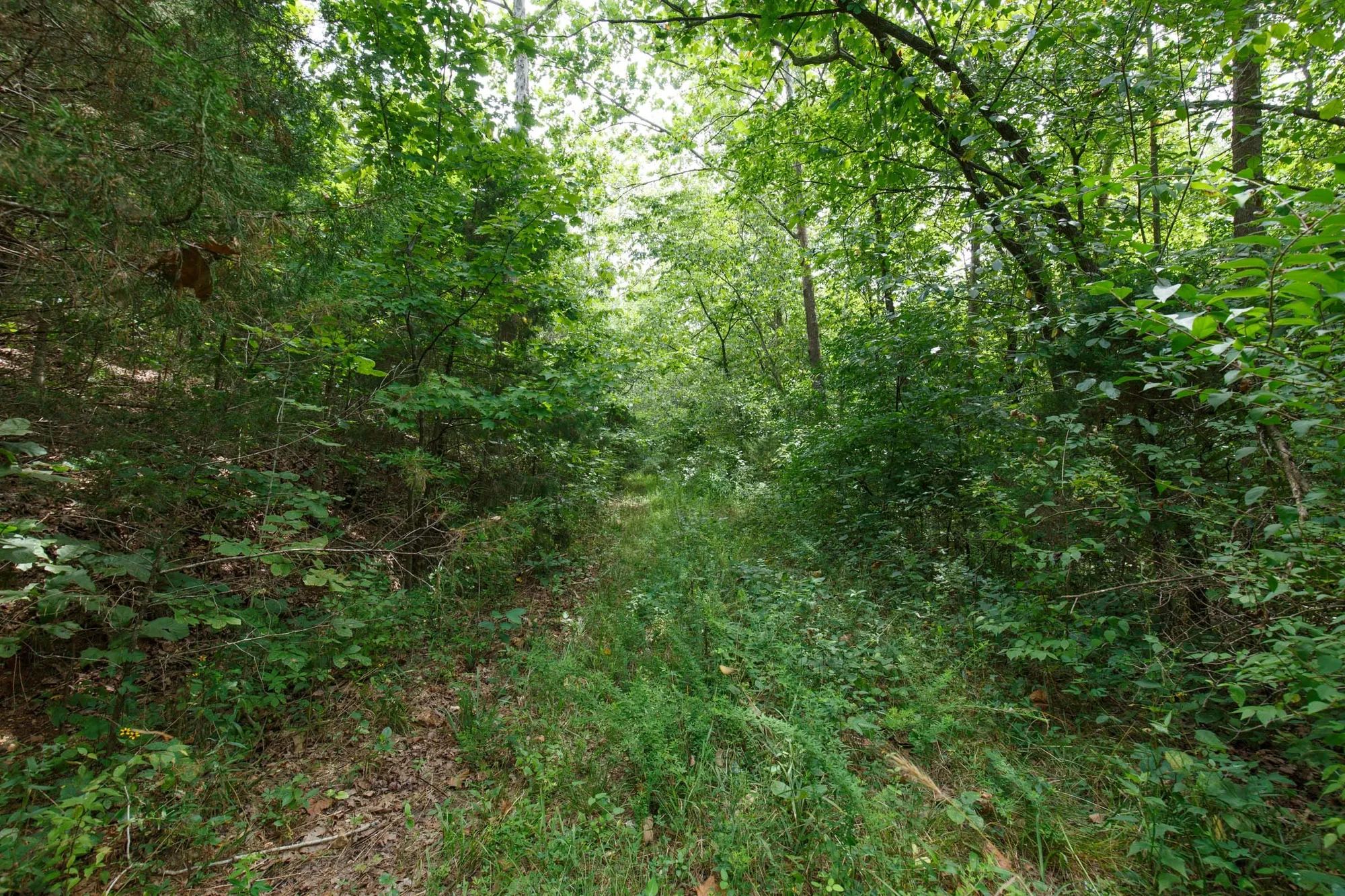 Spring Lake Plat 5 Tract 325 in Miller County, MO