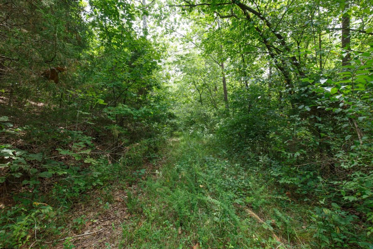 Spring Lake Plat 5 Tract 325 - Image 3