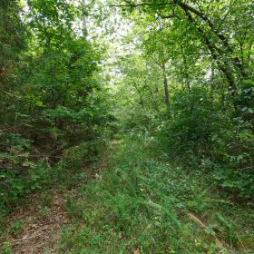Spring Lake Plat 5 Tract 325 in Miller County, MO