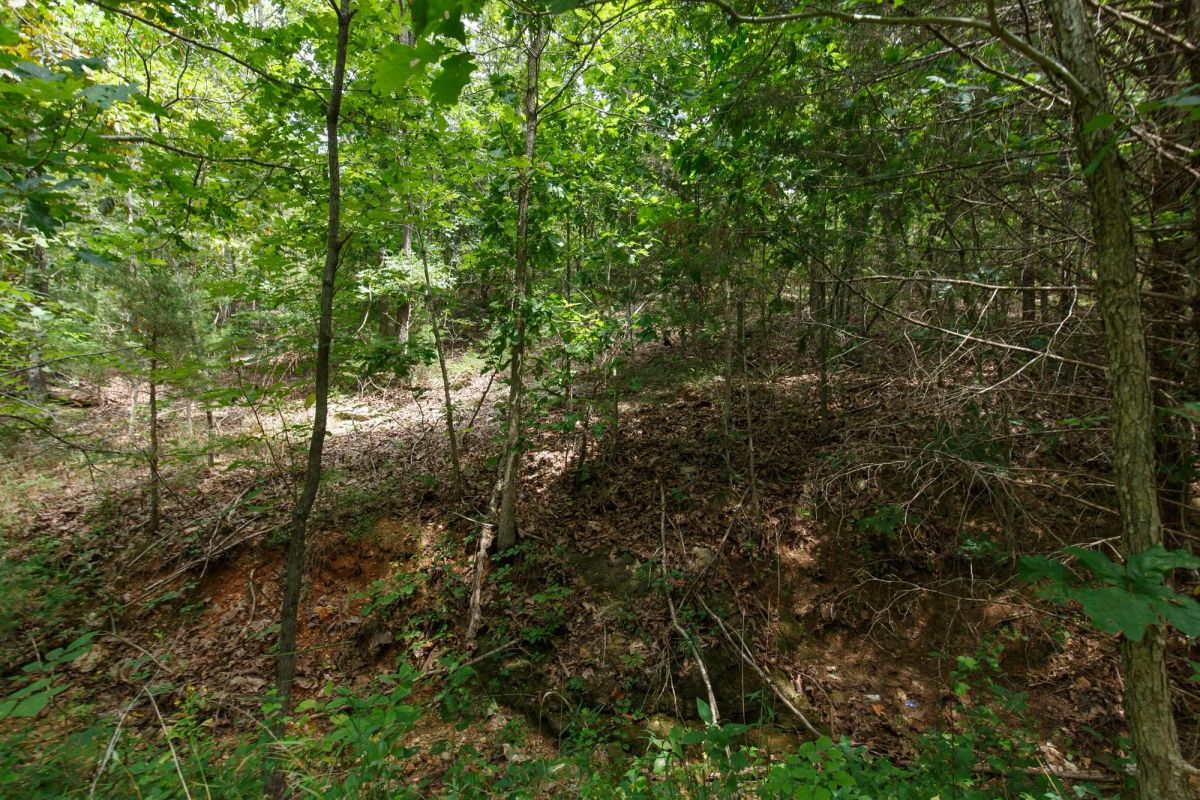 Spring Lake Plat 5 Tract 325 - Image 4