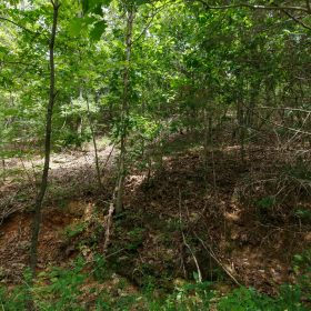 Spring Lake Plat 5 Tract 325 in Miller County, MO