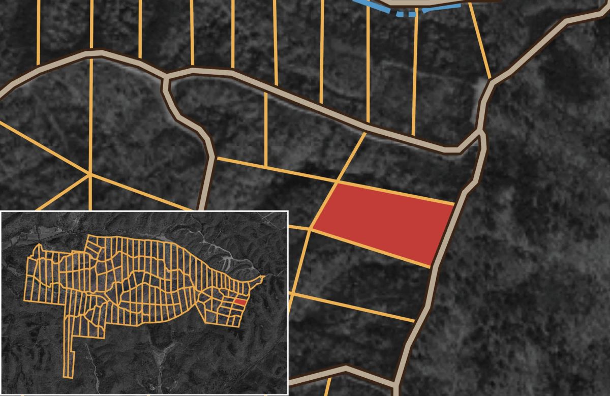 Decorative background for Big White Oak Tract 31 image 8