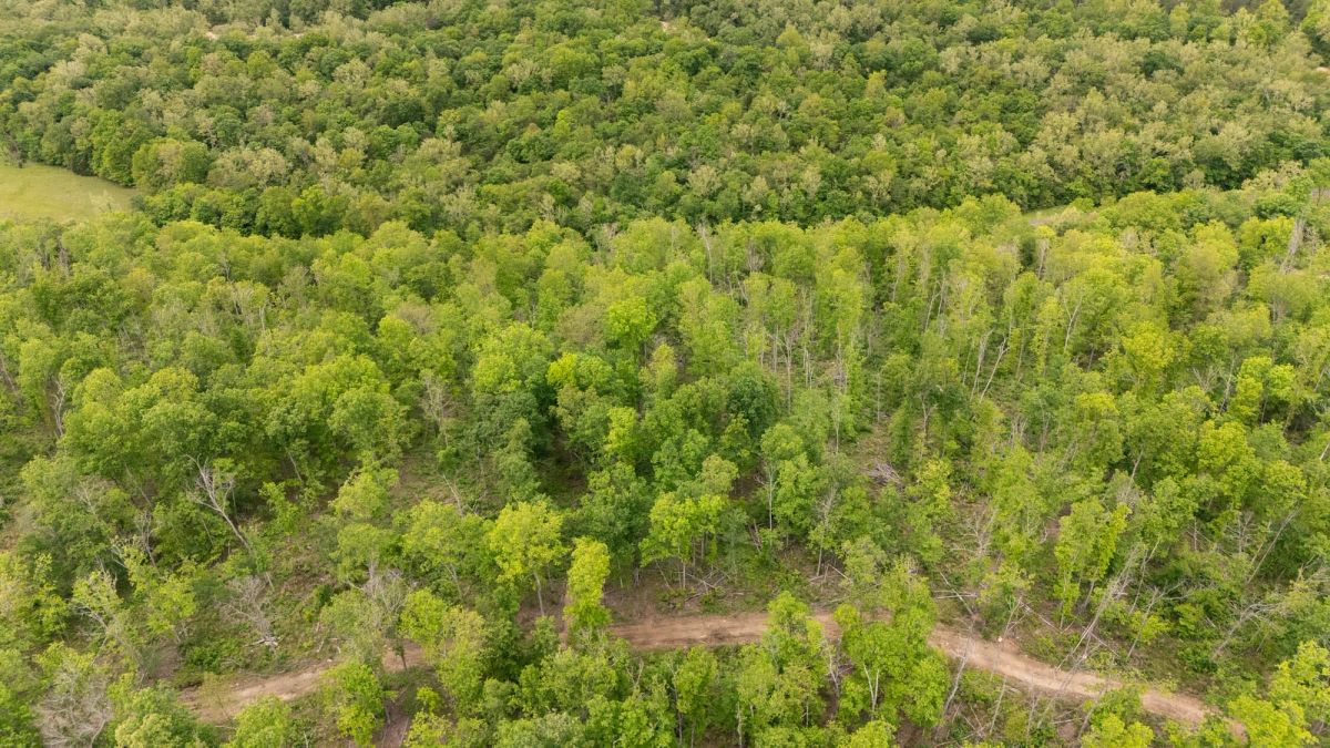 Stardust Estates Tract 11 - Main image