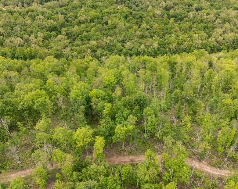 Stardust Estates Tract 11 in Reynolds County, MO