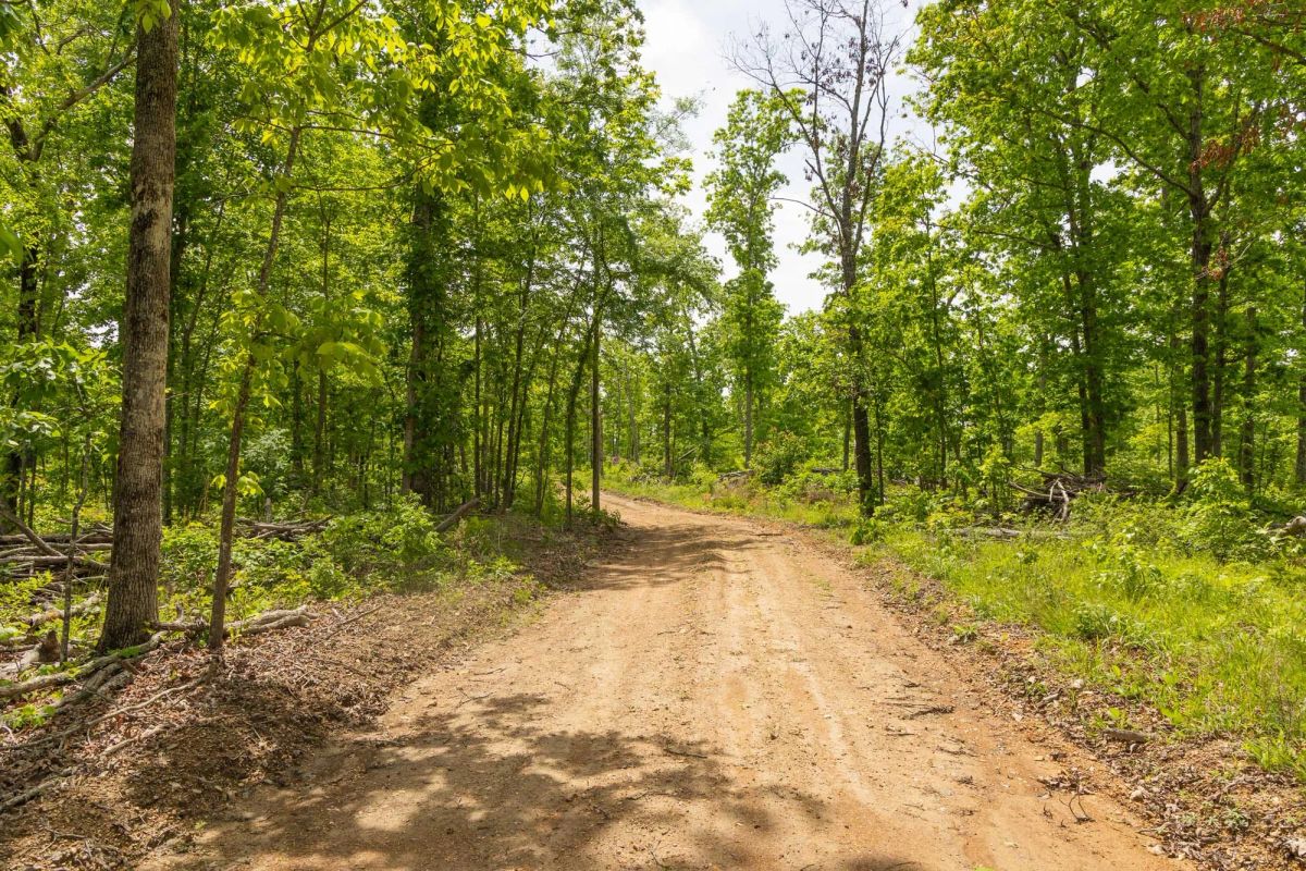 Stardust Estates Tract 11 - Image 2