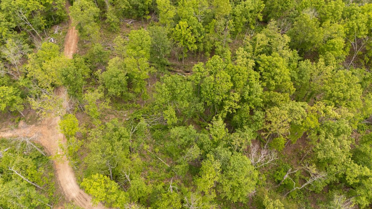 Decorative background for Stardust Estates Tract 11 image 9