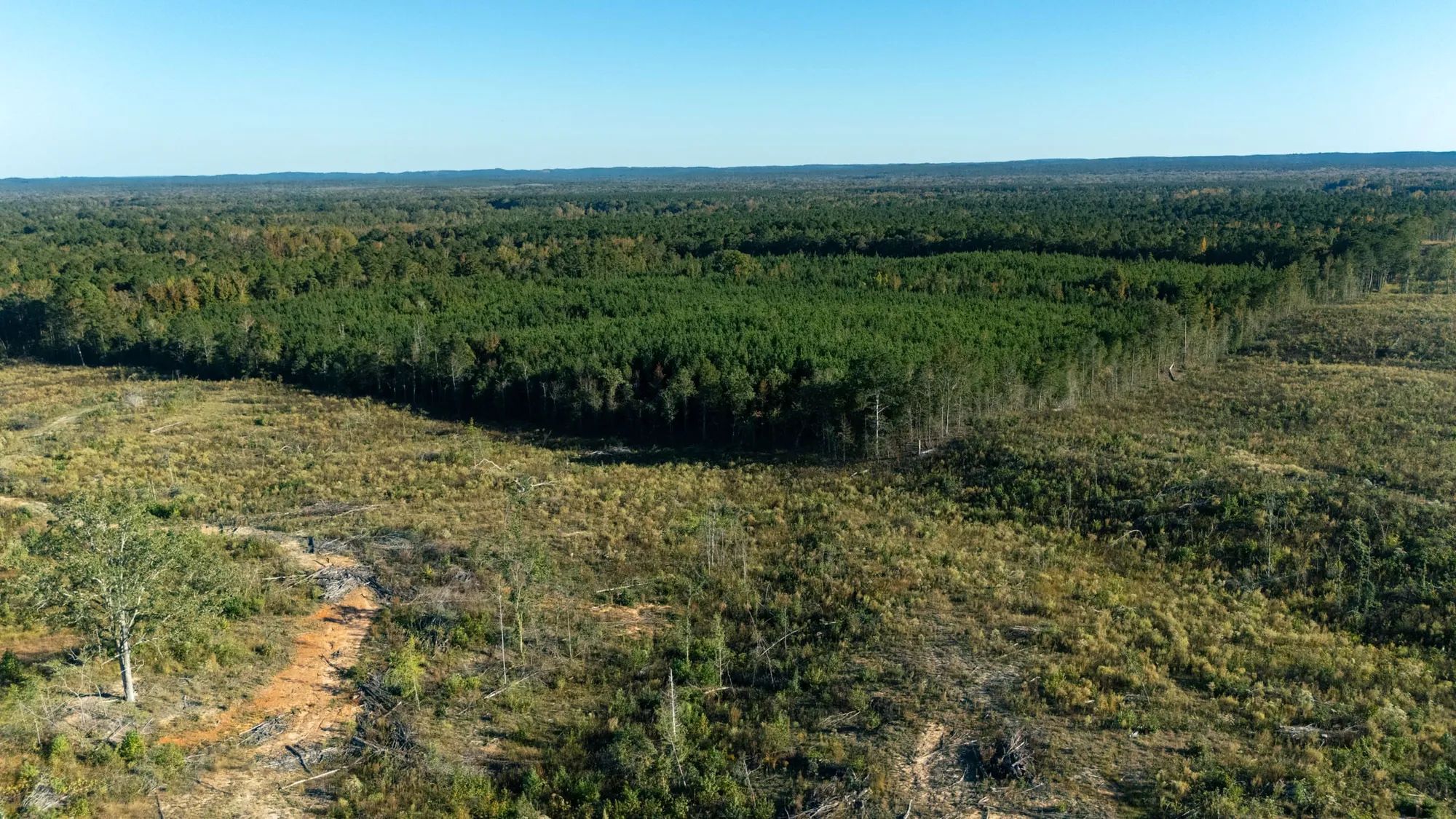 Meyer’s Ridge Tract 36 in Attala County, MS