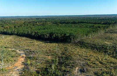 Meyer’s Ridge Tract 36