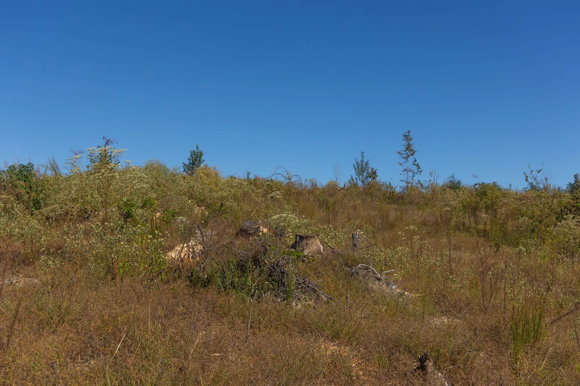Meyer’s Ridge Tract 36 in Attala County, MS