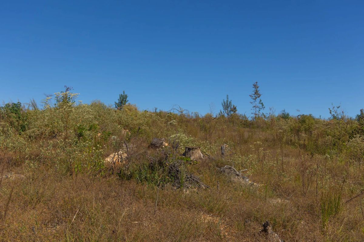 Meyer’s Ridge Tract 36 - Image 4