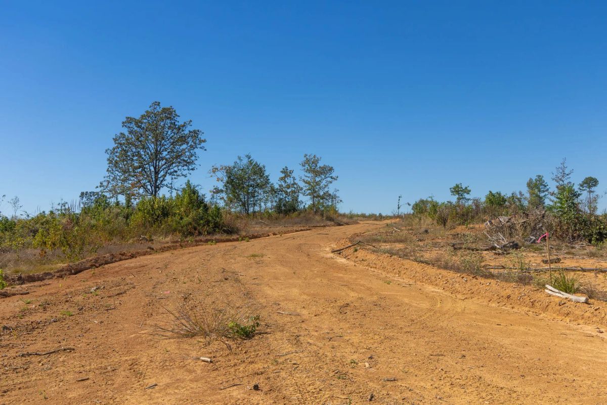 Decorative background for Meyer’s Ridge Tract 36 image 6