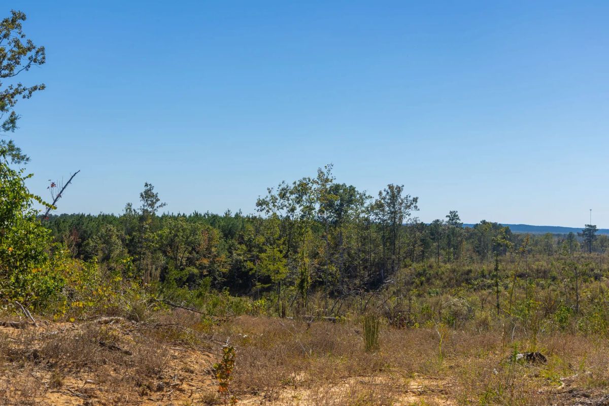 Decorative background for Meyer’s Ridge Tract 36 image 8