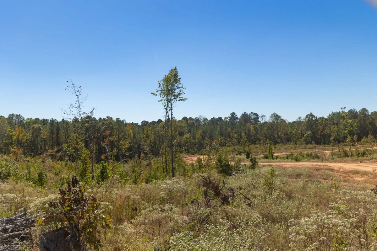 Decorative background for Meyer’s Ridge Tract 36 image 12