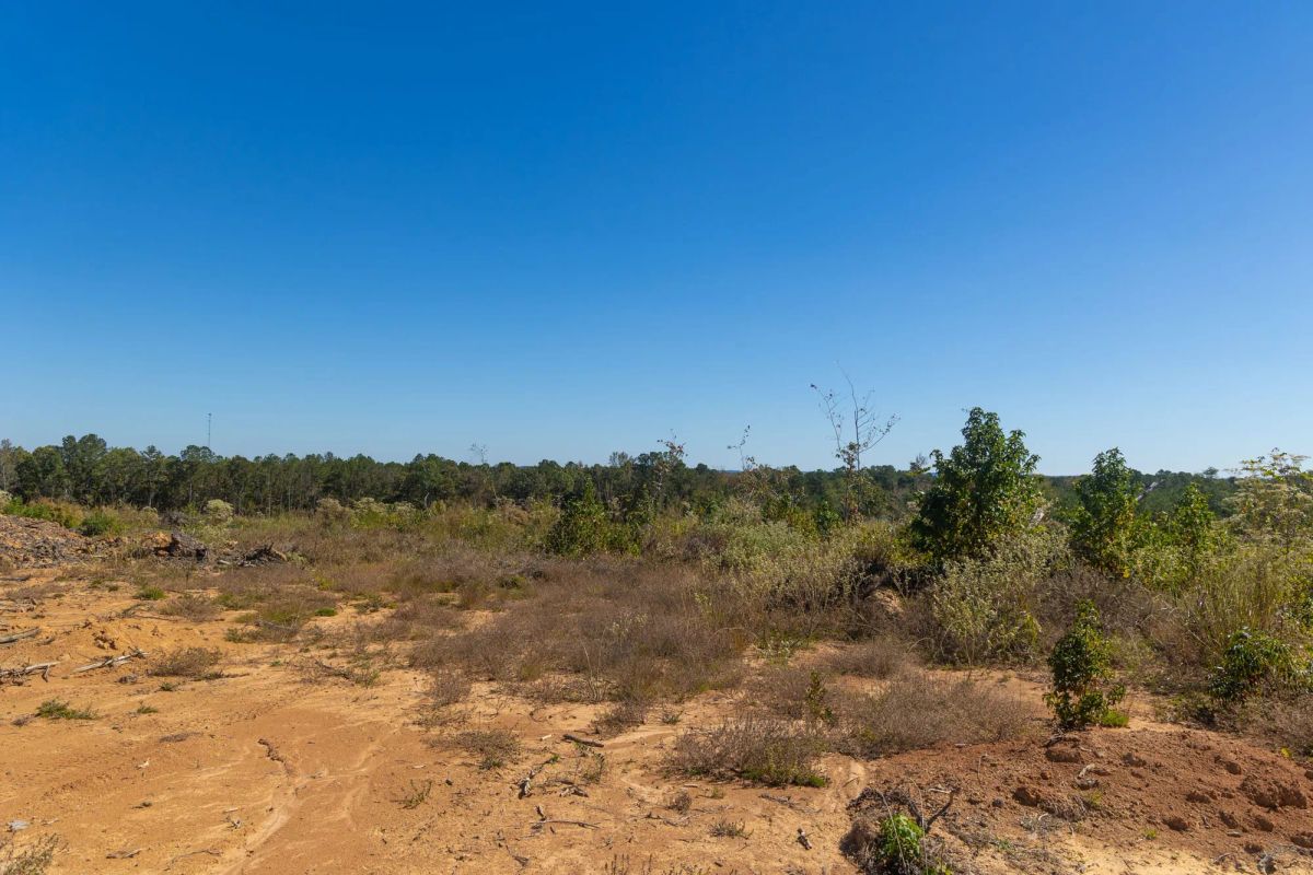 Decorative background for Meyer’s Ridge Tract 36 image 13