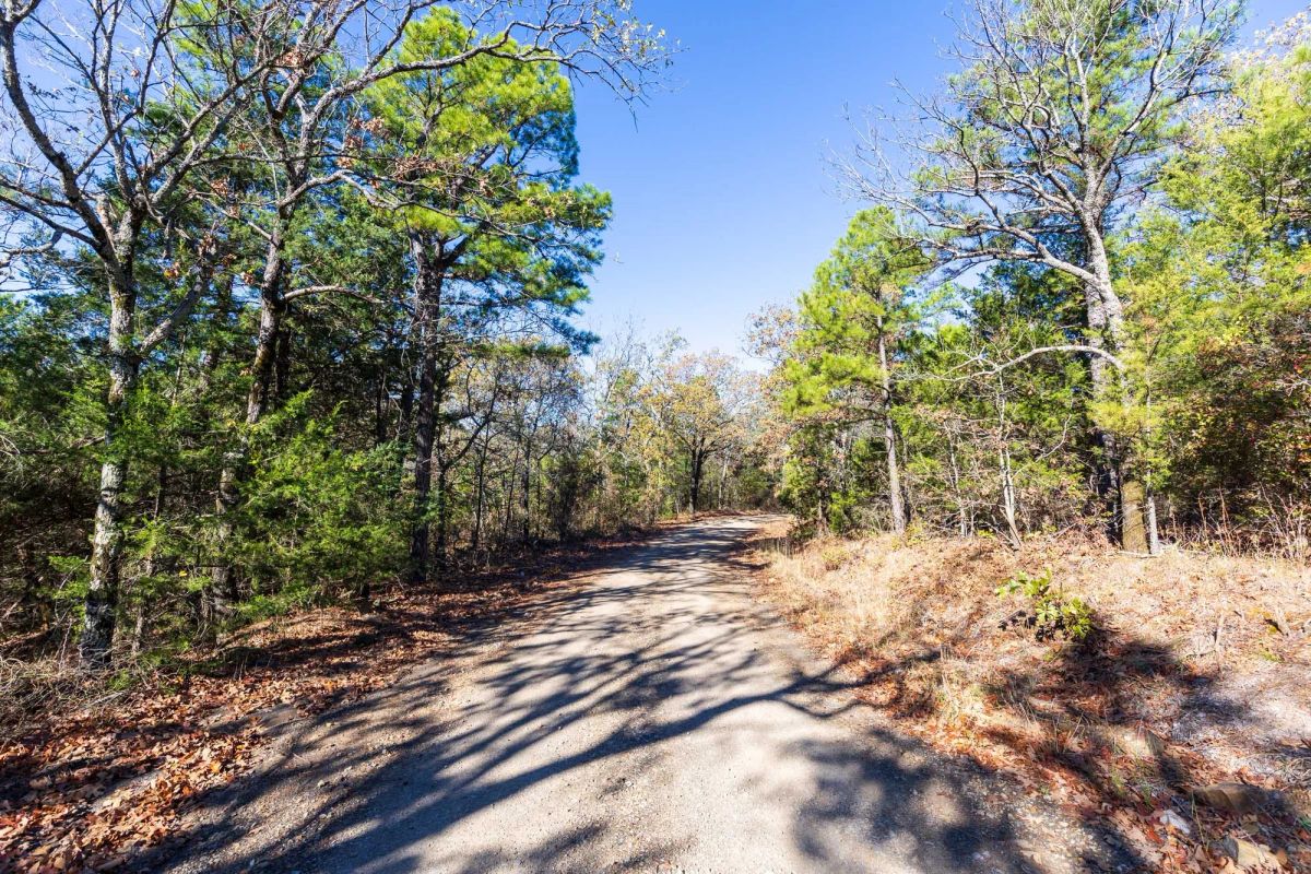 Decorative background for Stone Bridge Reserve Tract 7 image 10
