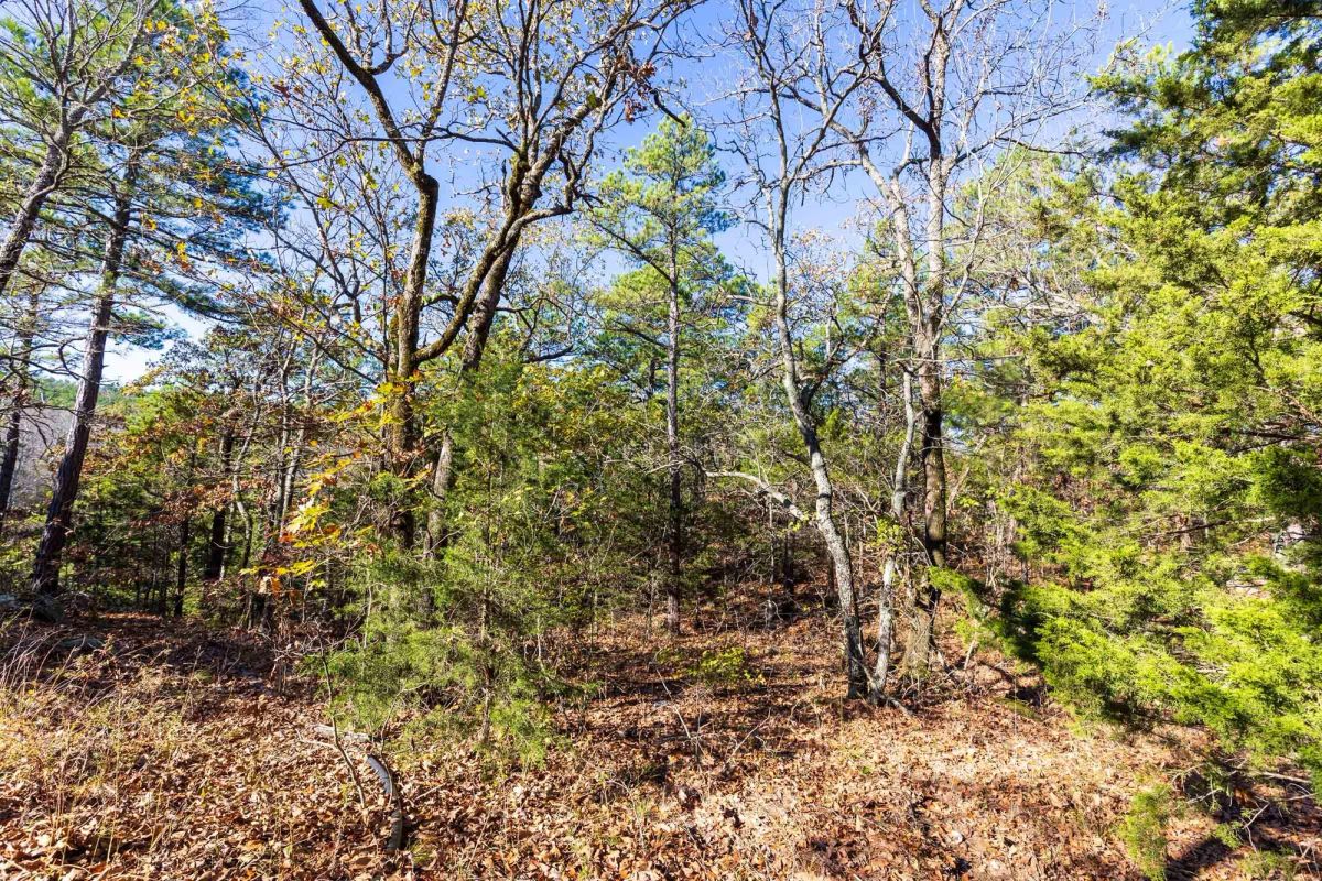 Decorative background for Stone Bridge Reserve Tract 7 image 11