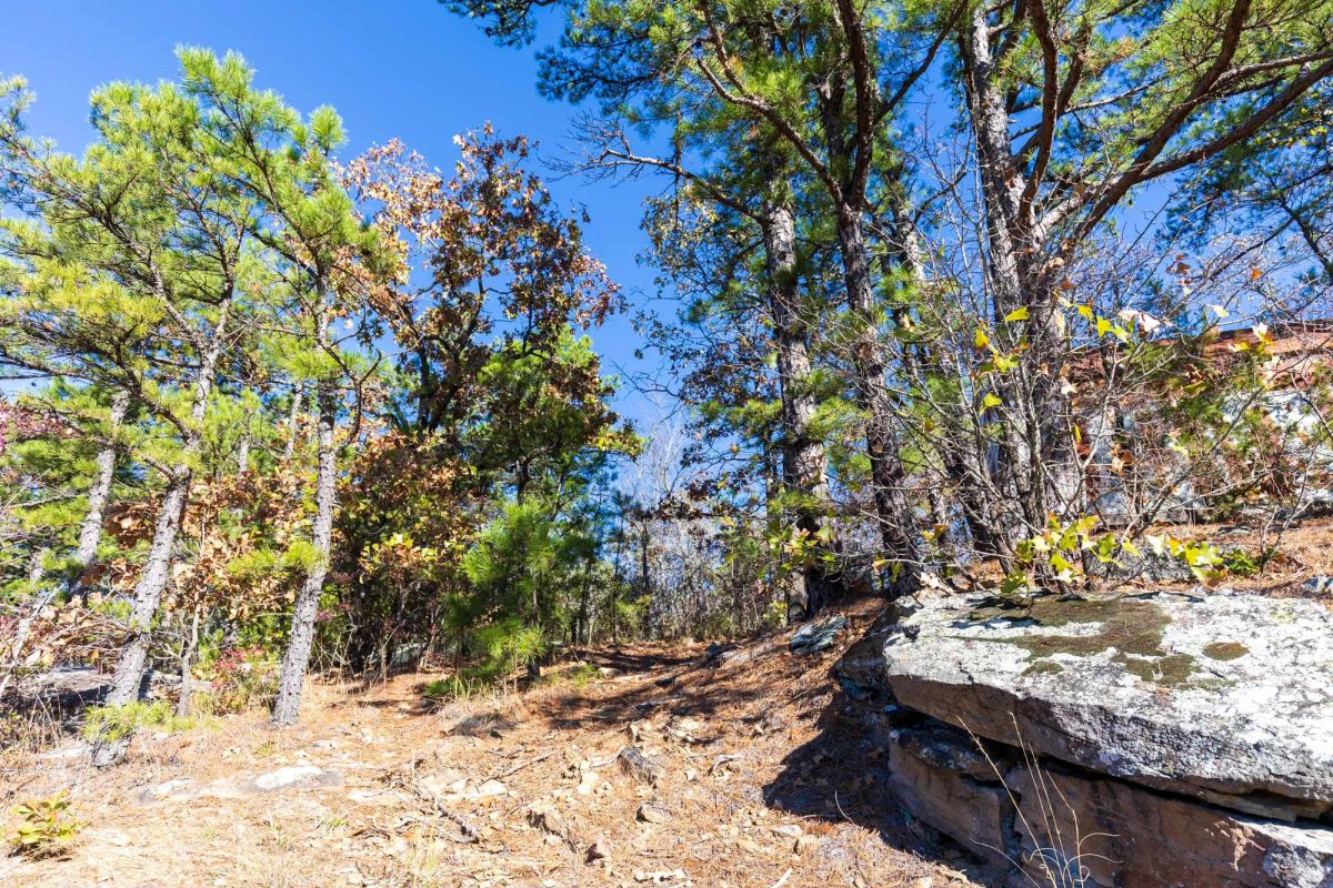 Decorative background for Stone Bridge Reserve Tract 7 image 12