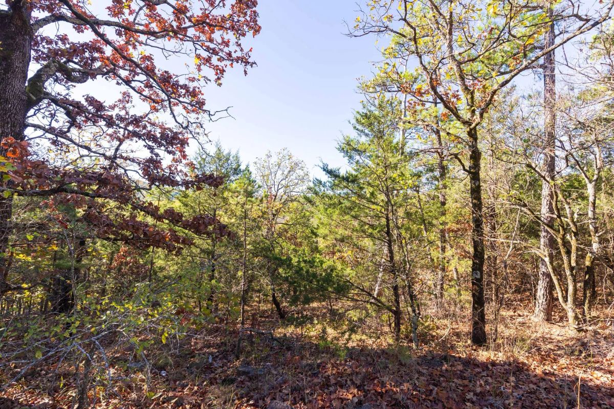 Decorative background for Stone Bridge Reserve Tract 7 image 13