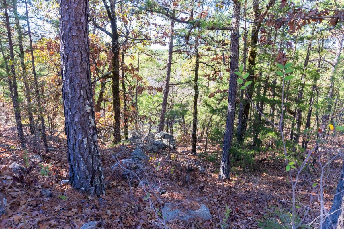 Decorative background for Stone Bridge Reserve Tract 7 image 14