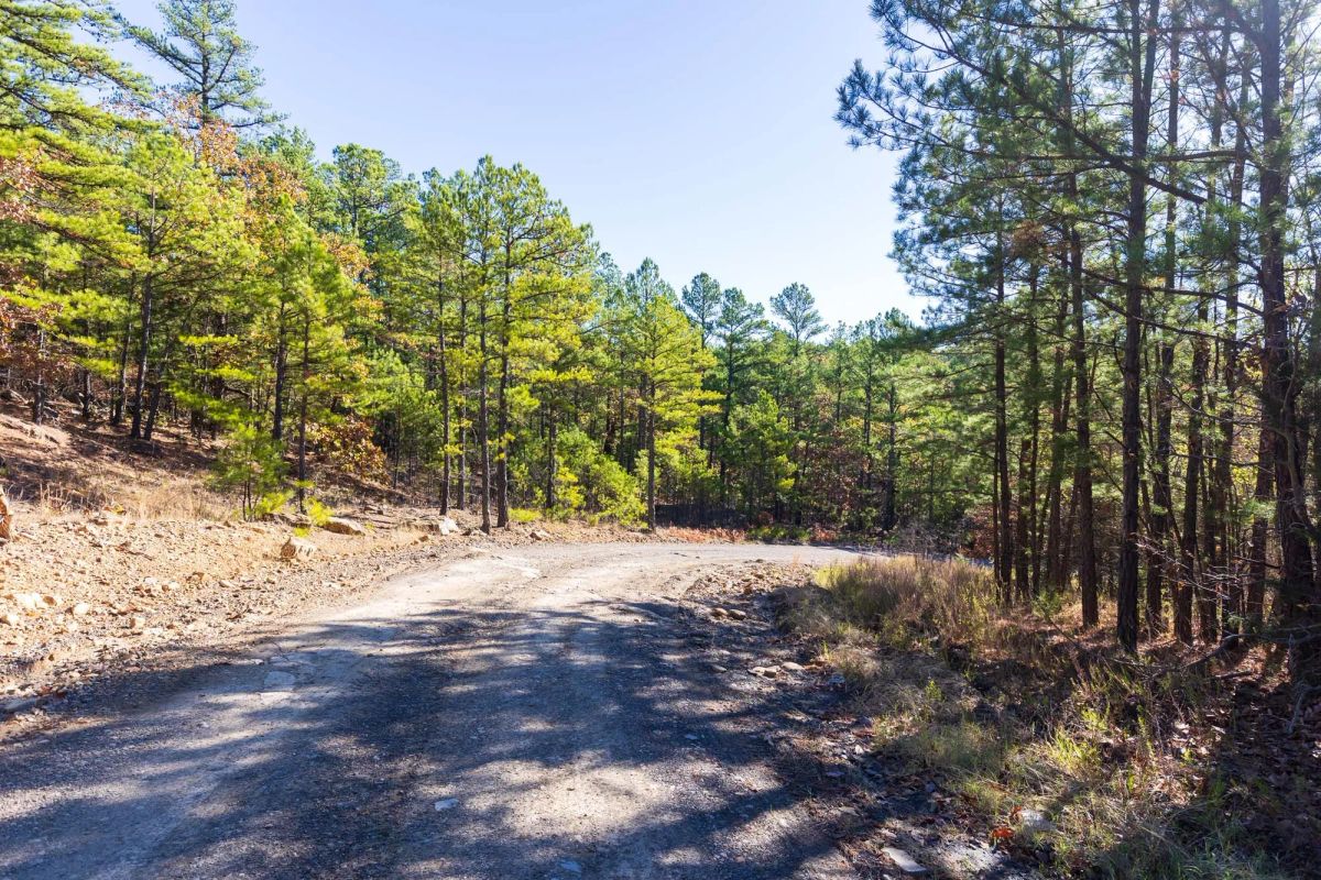 Decorative background for Stone Bridge Reserve Tract 7 image 15