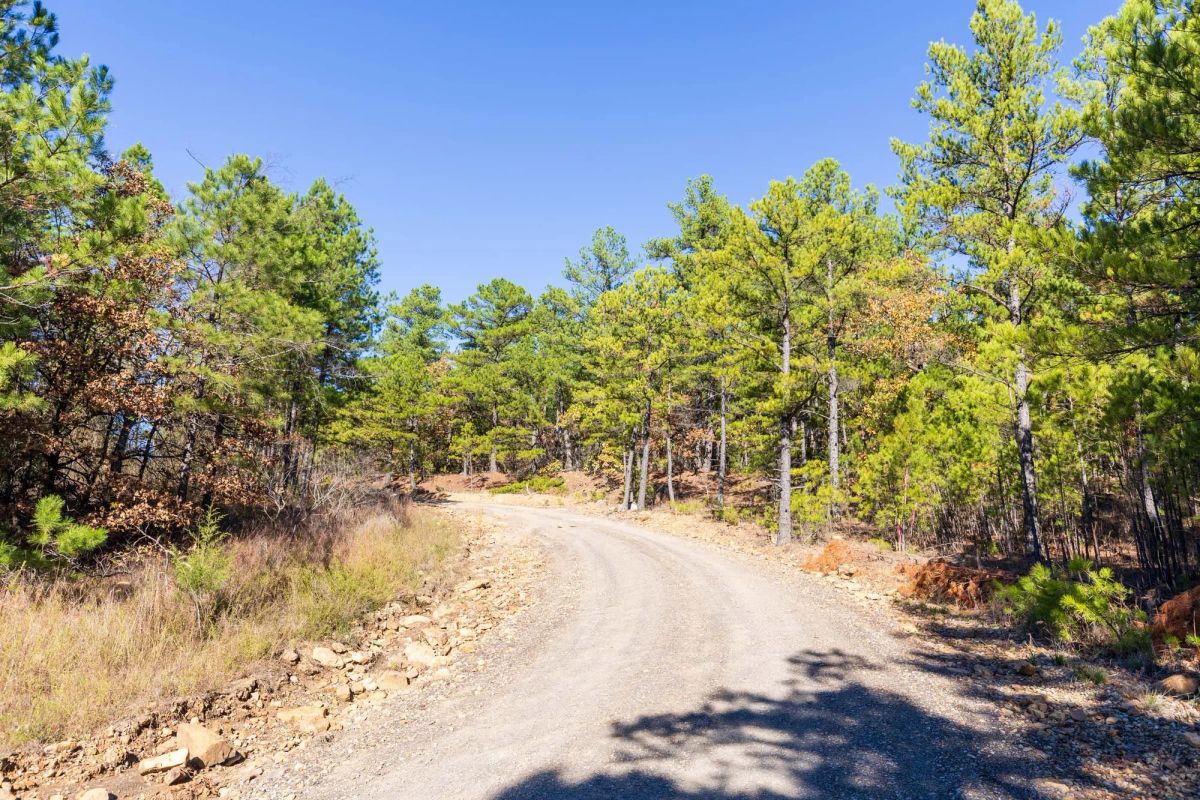 Decorative background for Stone Bridge Reserve Tract 7 image 16