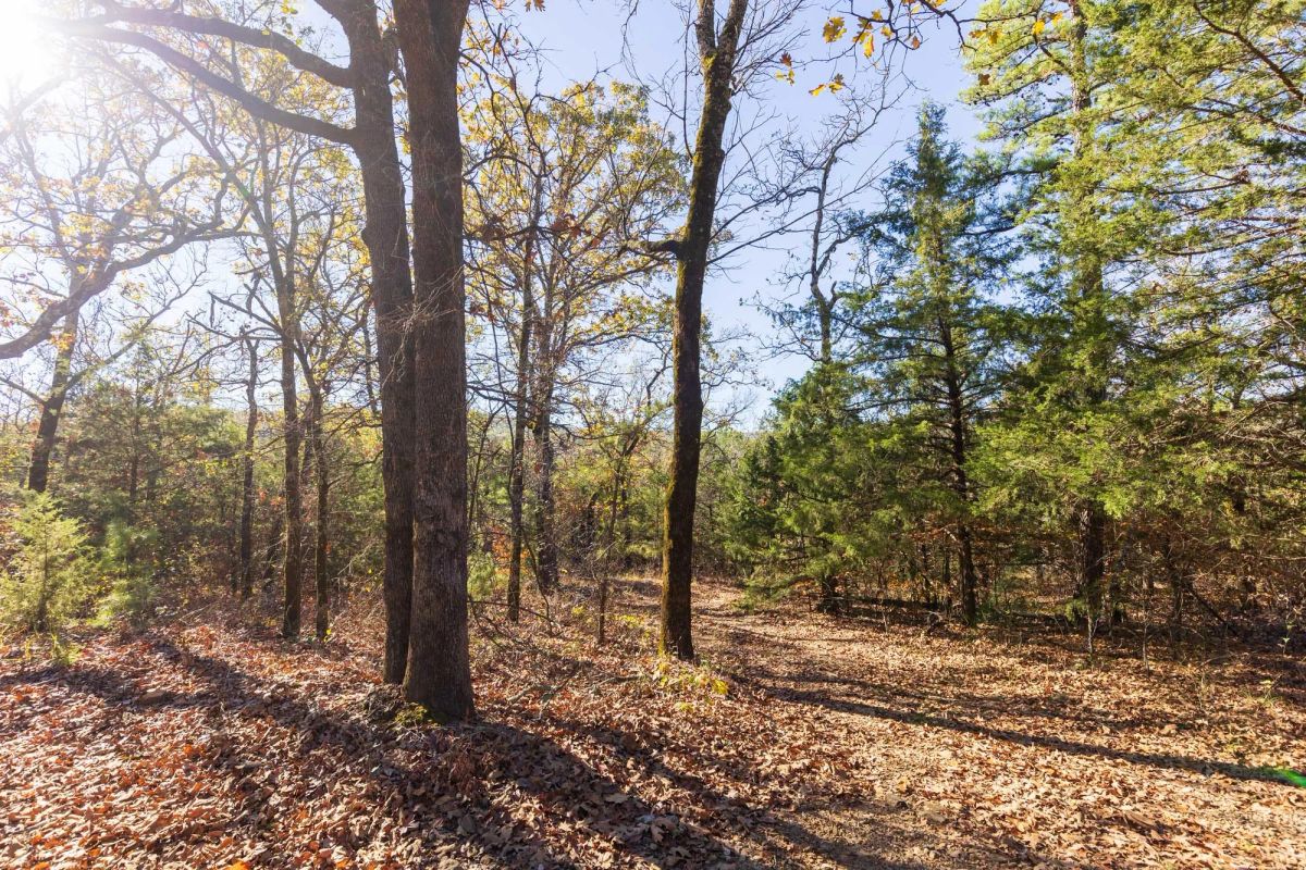 Decorative background for Stone Bridge Reserve Tract 7 image 18