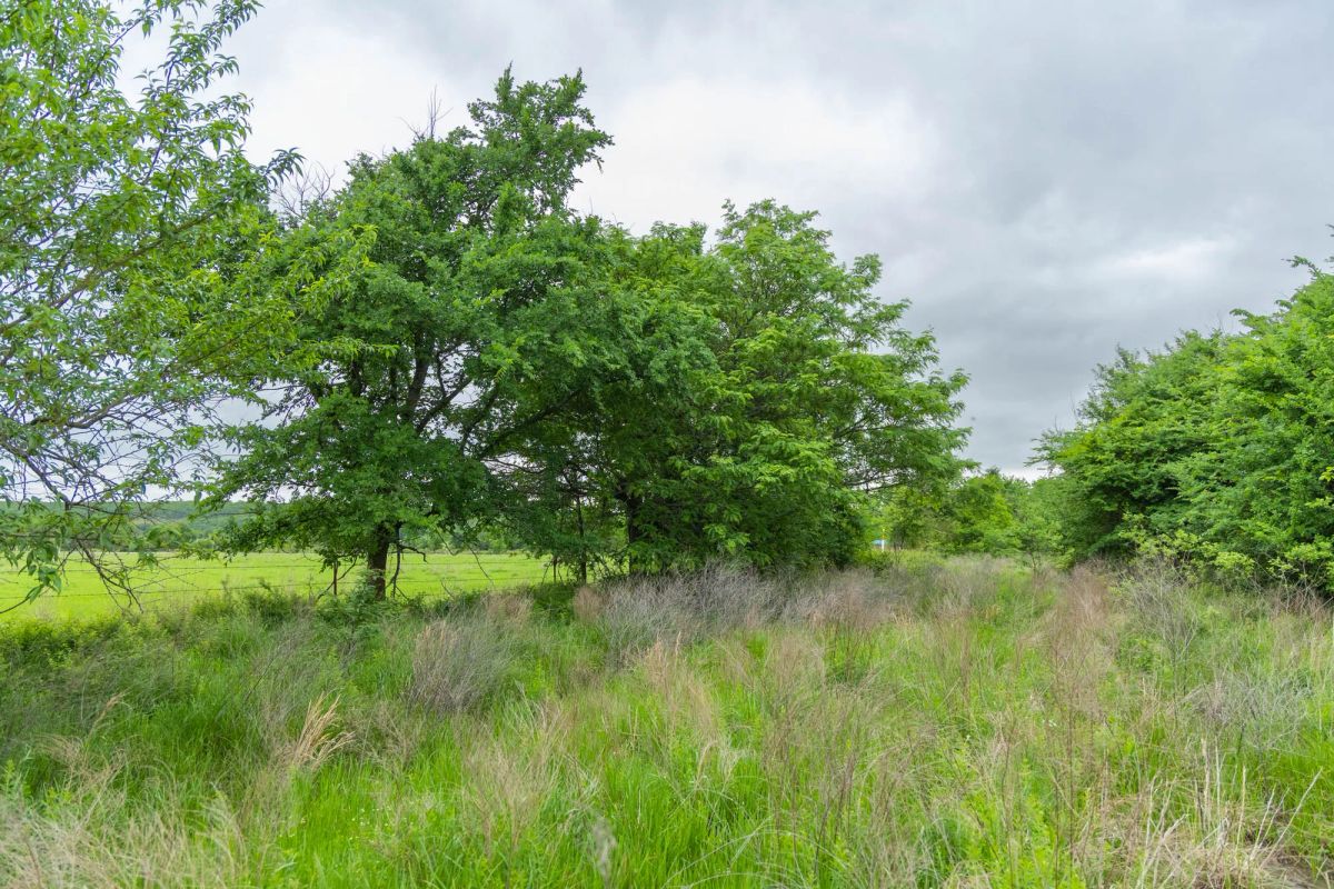 Harmony Hills Tract 1 - Main image
