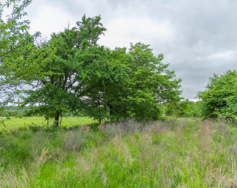 Harmony Hills Tract 1 in Pittsburg County, OK