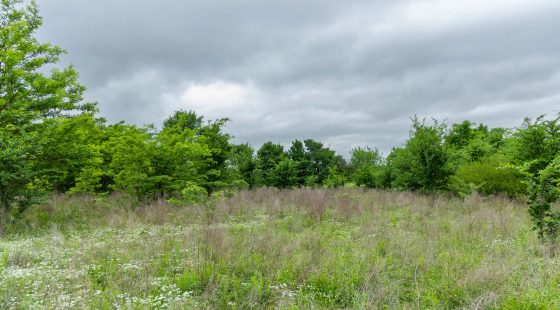 Harmony Hills Tract 1 in Pittsburg County, OK