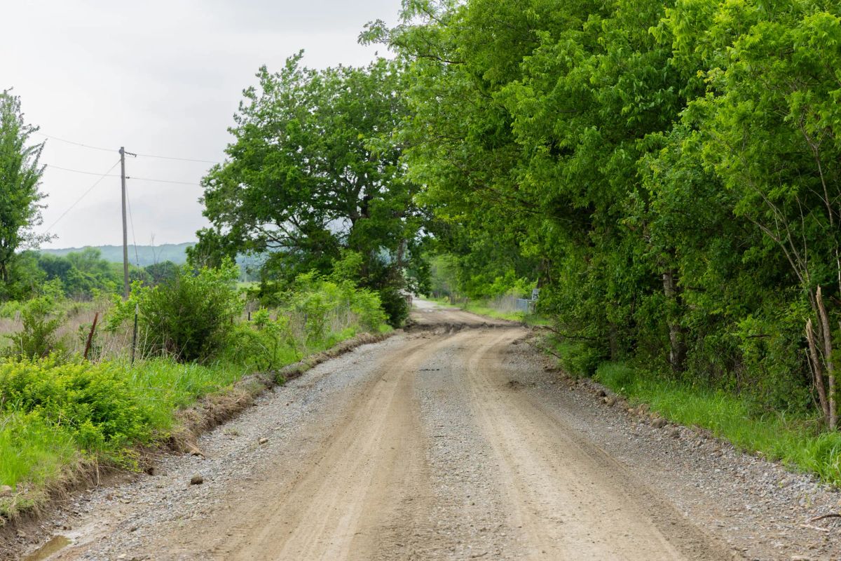 Decorative background for Harmony Hills Tract 1 image 6