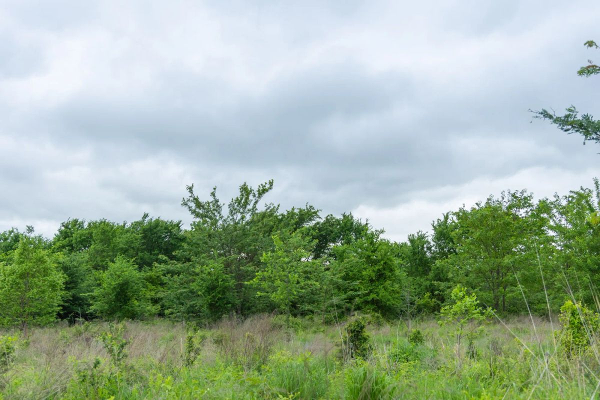 Decorative background for Harmony Hills Tract 1 image 7