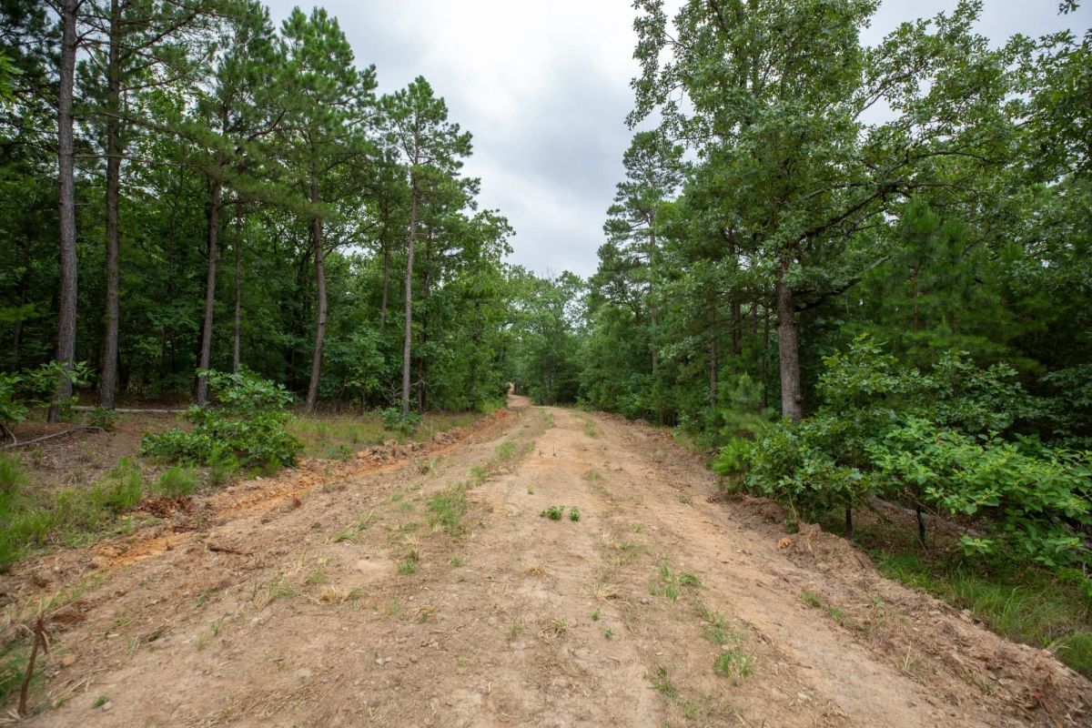 Eagle’s Nest Tract 84 - Image 2