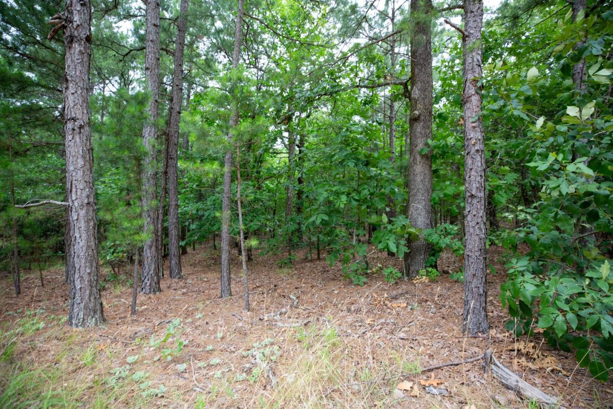 Eagle’s Nest Tract 84 - Image 3
