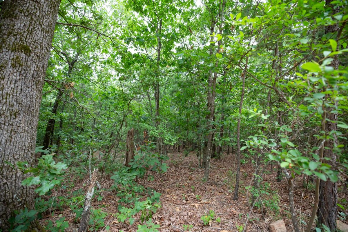 Decorative background for Eagle’s Nest Tract 84 image 5