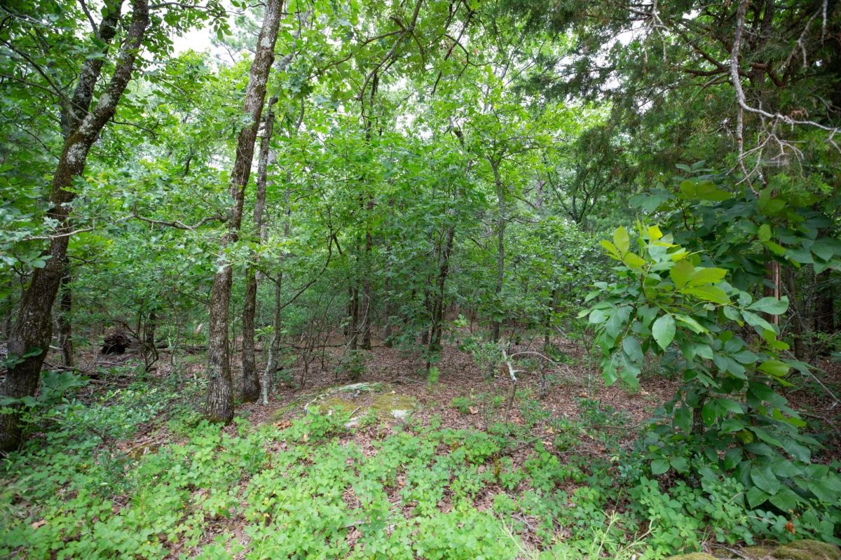 Decorative background for Eagle’s Nest Tract 84 image 6
