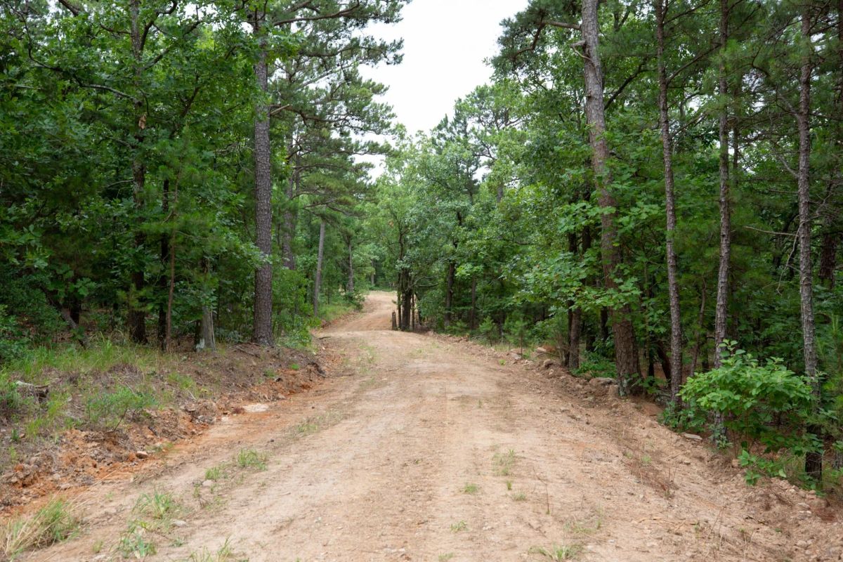 Decorative background for Eagle’s Nest Tract 84 image 8