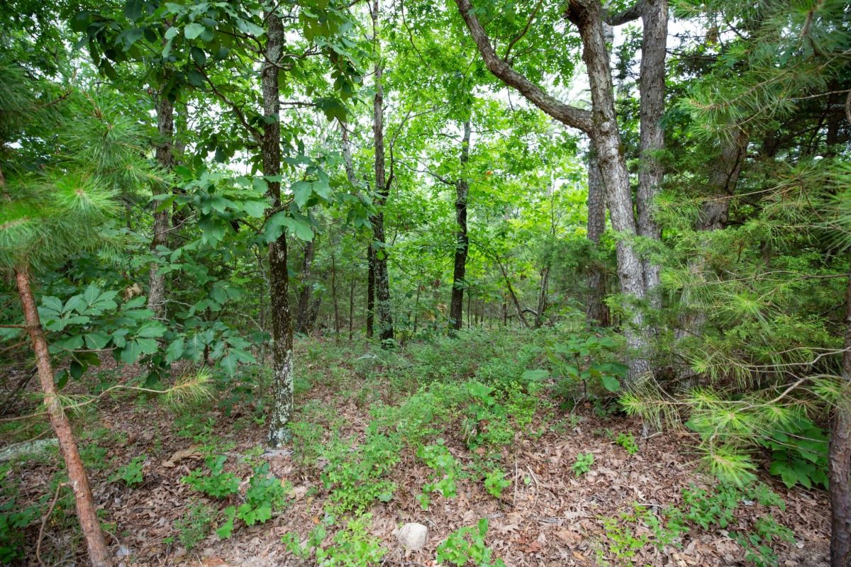 Decorative background for Eagle’s Nest Tract 84 image 9