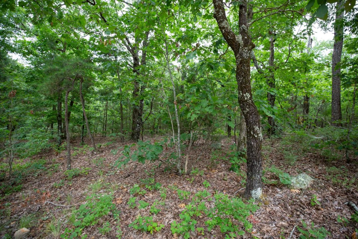 Decorative background for Eagle’s Nest Tract 84 image 10