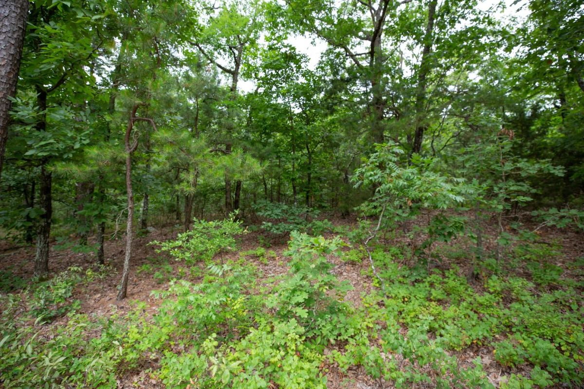 Decorative background for Eagle’s Nest Tract 84 image 11