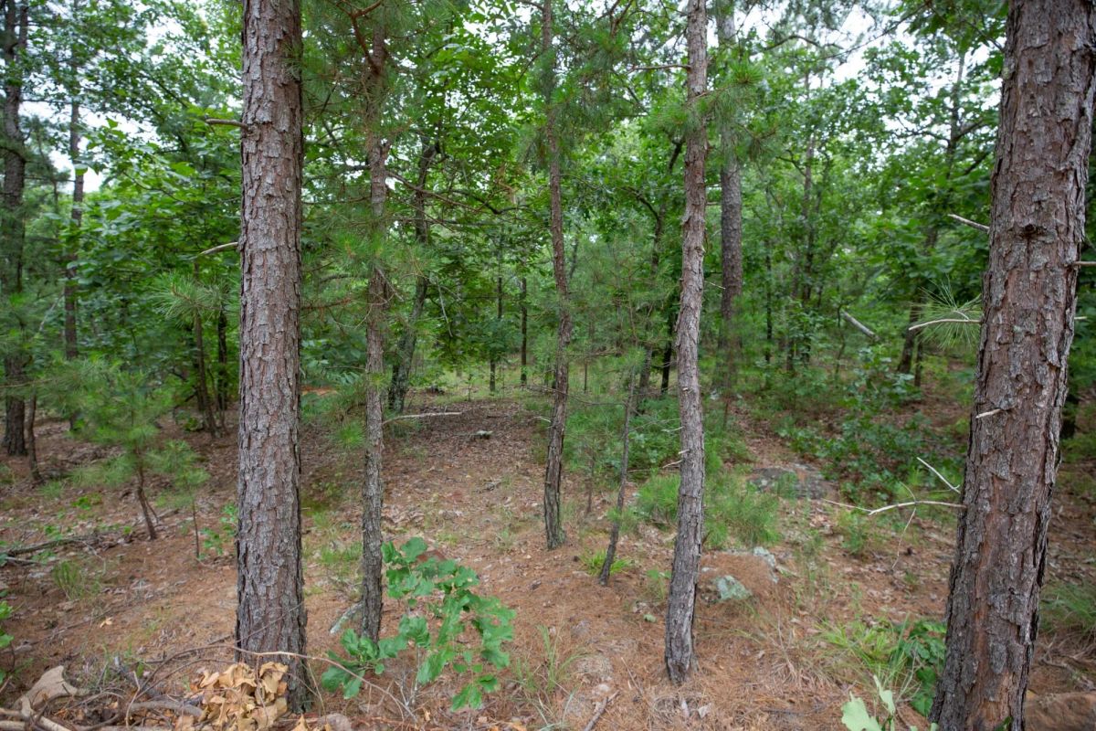 Decorative background for Eagle’s Nest Tract 84 image 12